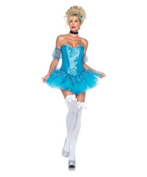 Cinderella Adult Costume
