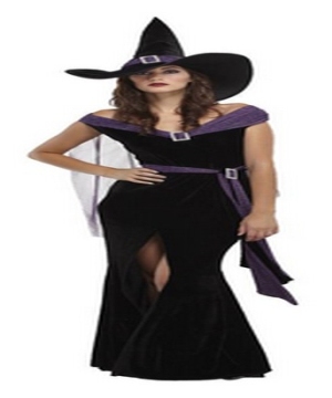 Elegant Witch Adult Costume