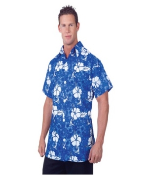 Hawaiian Adult Costume