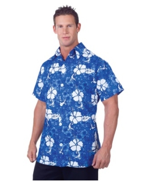 Hawaiian Adult plus size Costume