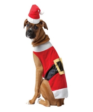 Santa Pet Costume