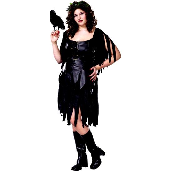 Evil Fairy Plus Size Women Costume