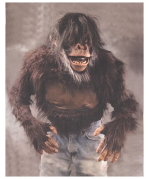 Chimp Adult Costume