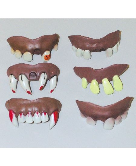 Assorted Teeth 