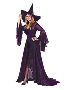 Shimmering Witch Costume - Women Halloween Costume