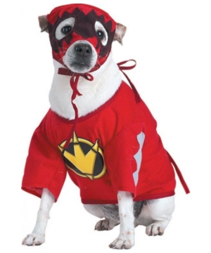 Power Ranger Pet T-rex Costume - Pet Costume