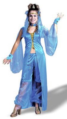 Dreamy Genie Womens Costume Plus Size