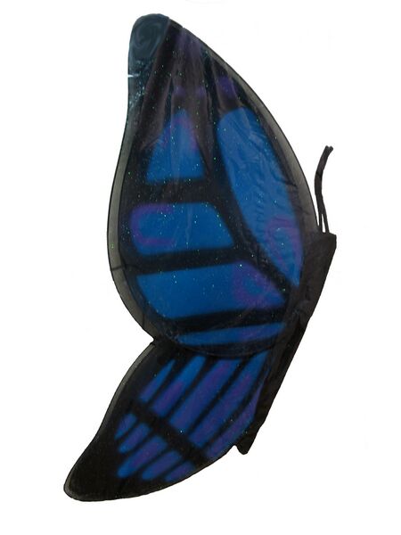 Wings Butterfly Black/blue Child Wings