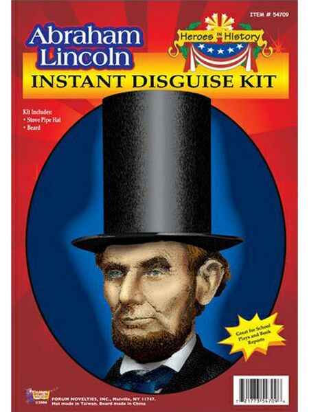 Abraham Lincoln Costume Accessory