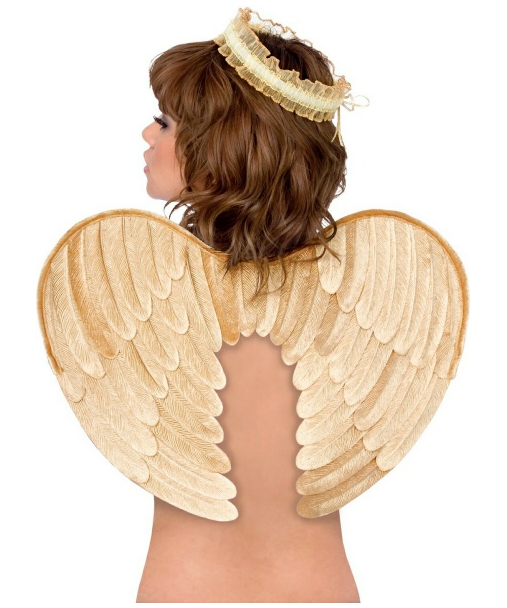 Gold Velvet Angel Wings  Costume Accessory