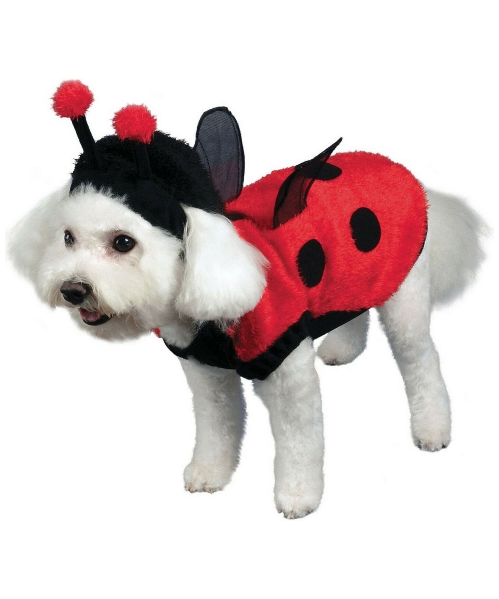 Lovely Ladybug Pet Costume