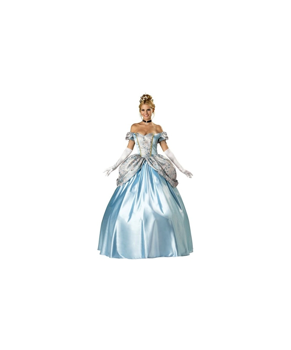  Enchanting Princess Womens Costume