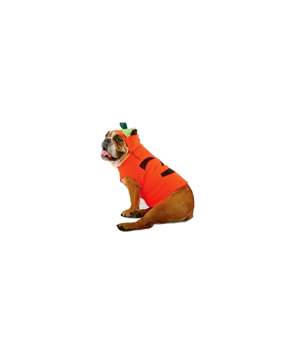  Zelda Pumpkin Pet Costume