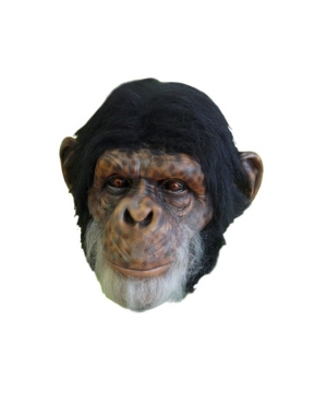 Chimp Latex Adult Mask