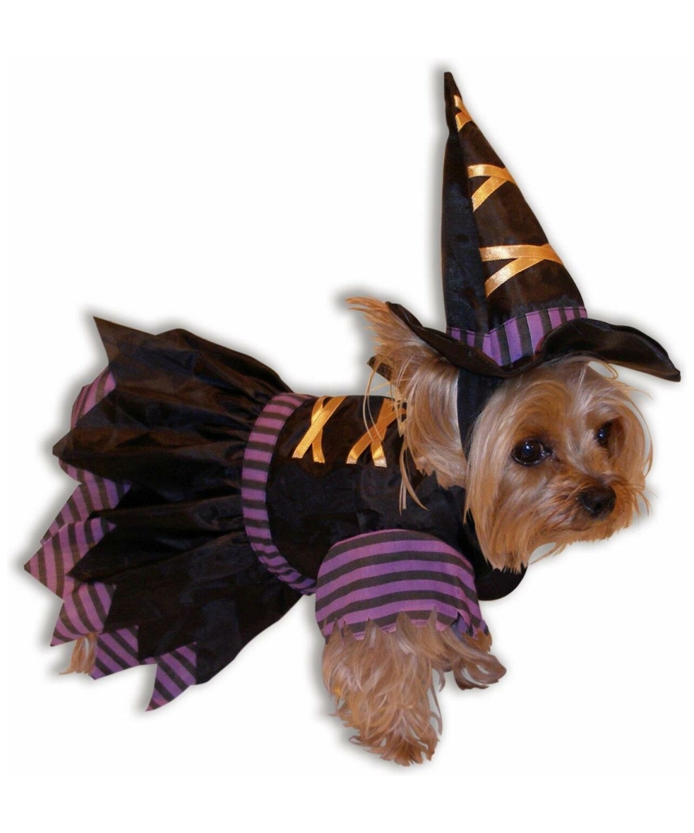  Doggie Witch Pet Costume