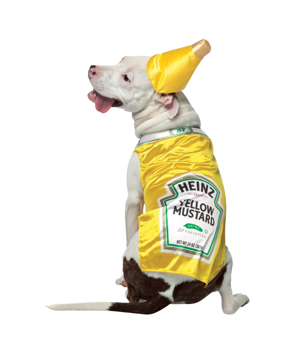  Heinz Mustard Pet Costume
