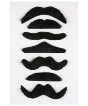 stache 7 used for sale