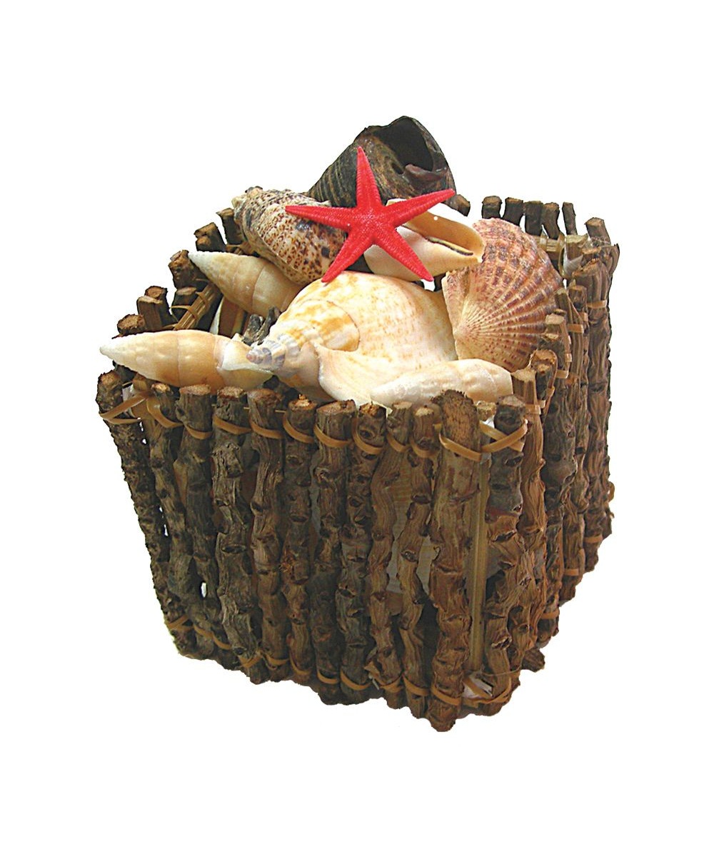  Shell Crate Decoration