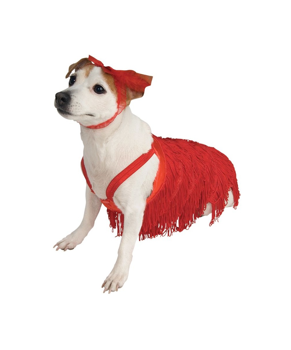  1920s Flapper Pet Costume