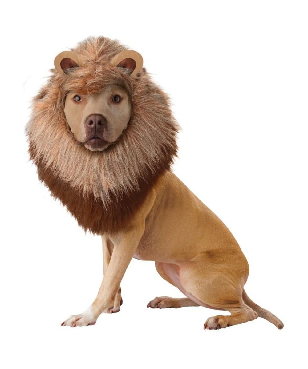  Lion Dog Costume