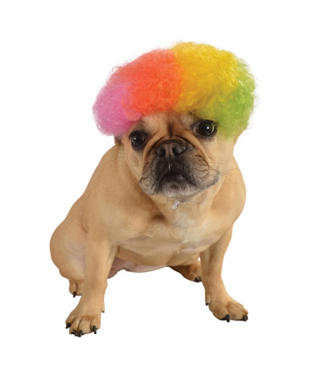  Rainbow Afro Pet Dog Wig