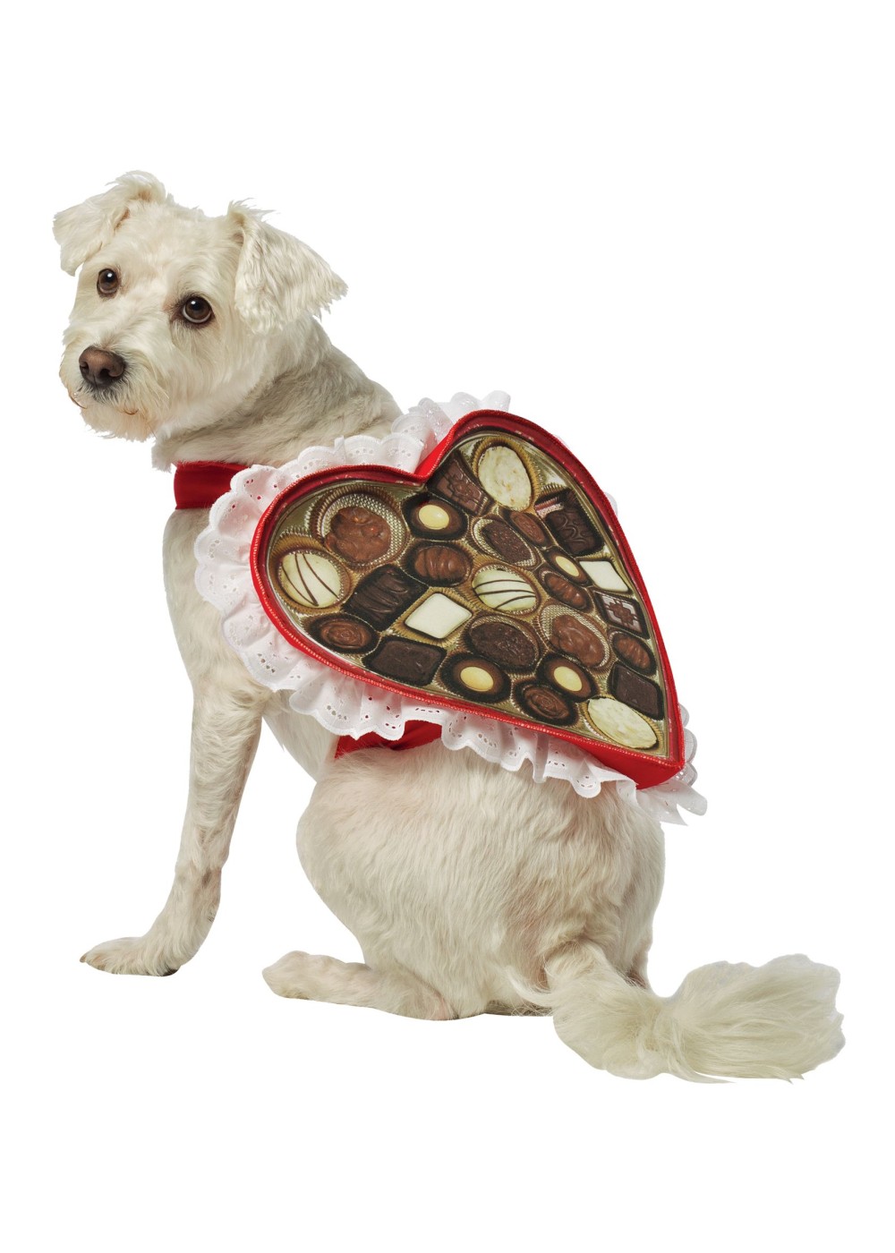 Heart Box Of Chocolates Pet Costume