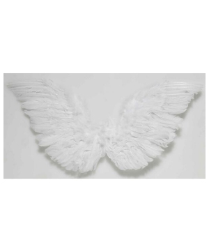Classic Angel Wings Adult Accessory
