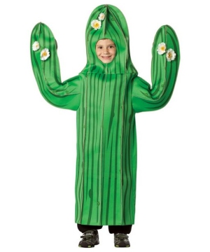 Cactus Spanish Costume - Spanish Costumes