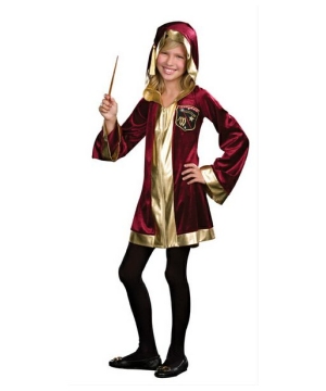 Wizard Delights Girls Costume