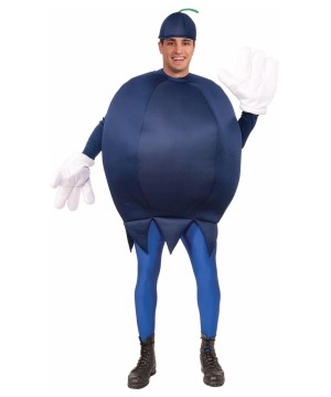 Blueberry Costume - Food Costumes