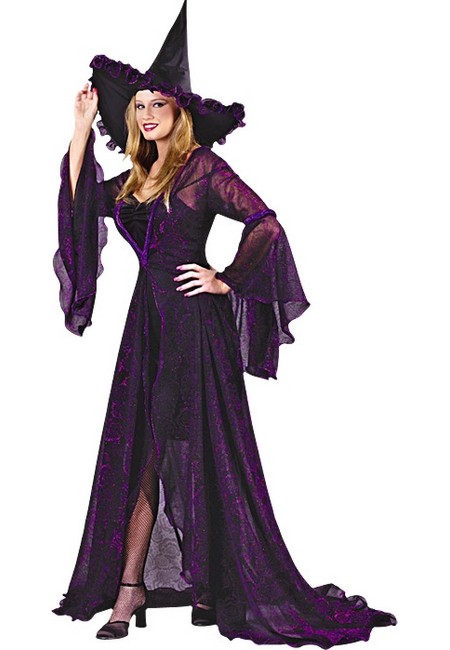 Adult Shimmering Witch Halloween Costume Women Costume