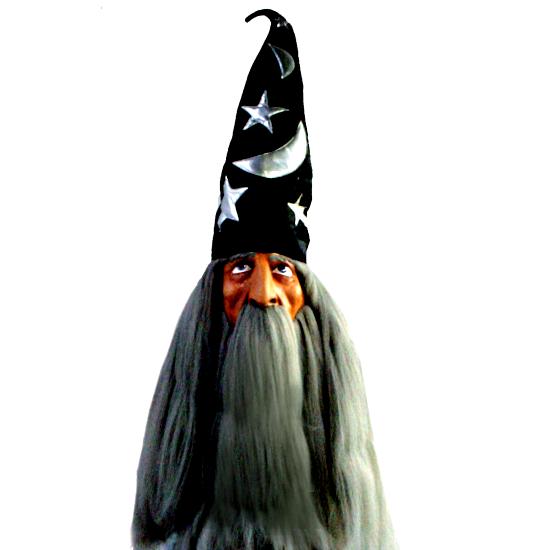 Wizard Mask Hat And Hair Grey