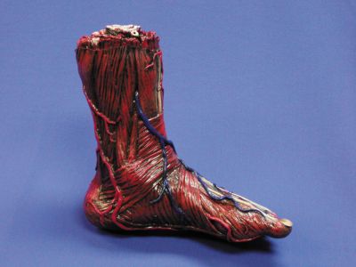 Skinned Left Foot