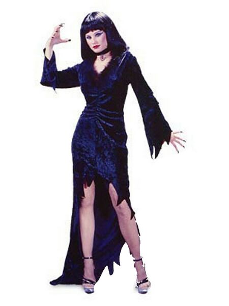 Queen Of The Crypt Velvet Adult Costume - Adult Halloween Costumes