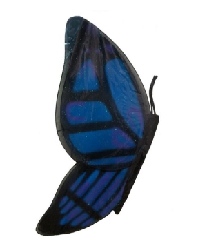 Wings Butterfly Black/blue Kids Wings