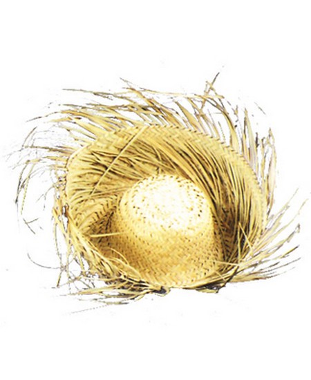 Birds Nest Hat