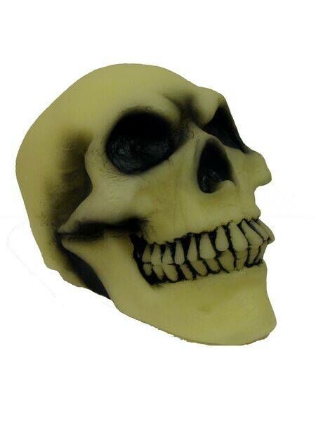 Skull Prop Accessory