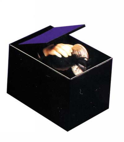 Black Box Money Trap Costume Accessory