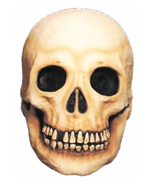 Large Skull Prop