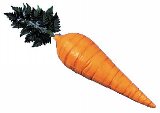 Carrot 21