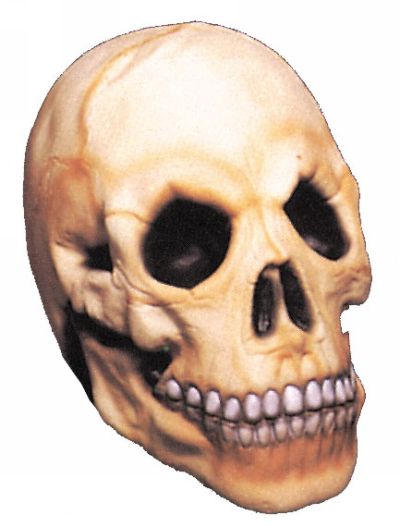Skull Prop