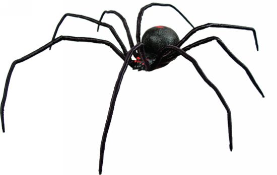 Black Widow Spider Prop