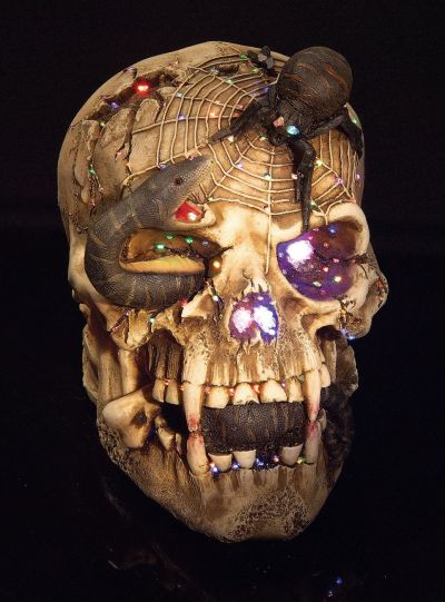 Snake Eyed Skull Prop