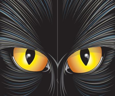 Catrageous Cat Eyes