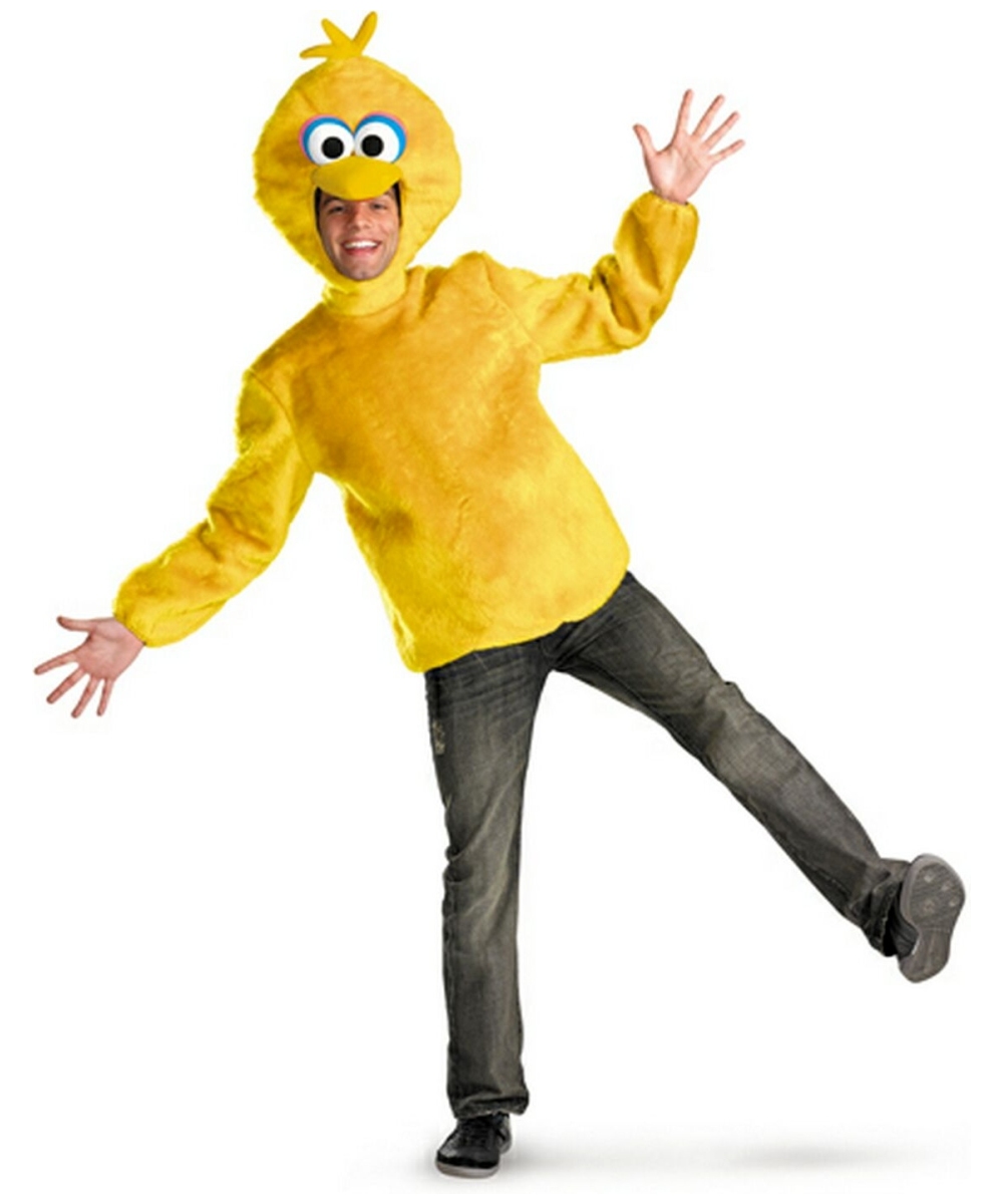 Sesame Street Big Bird  Costume