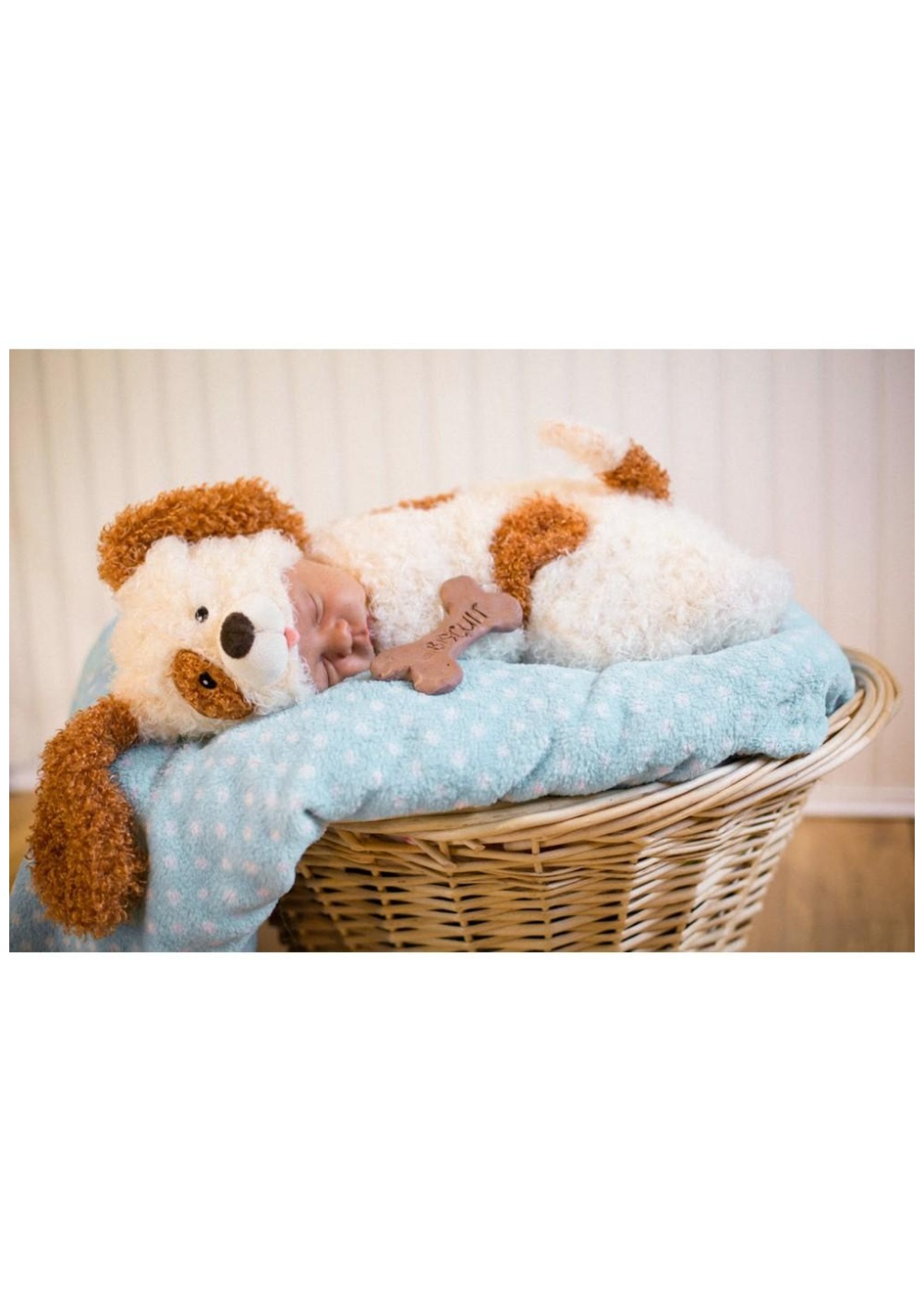 Cuddly Pupply Dog Infant Bunting Costume