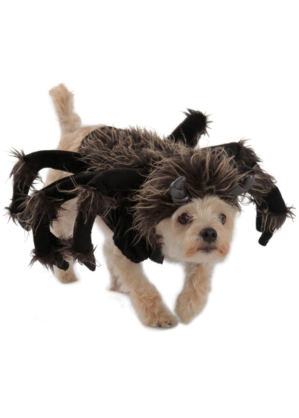 Tarantula Dog Costume