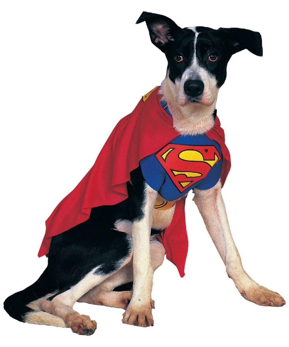  Superman Dog Costume