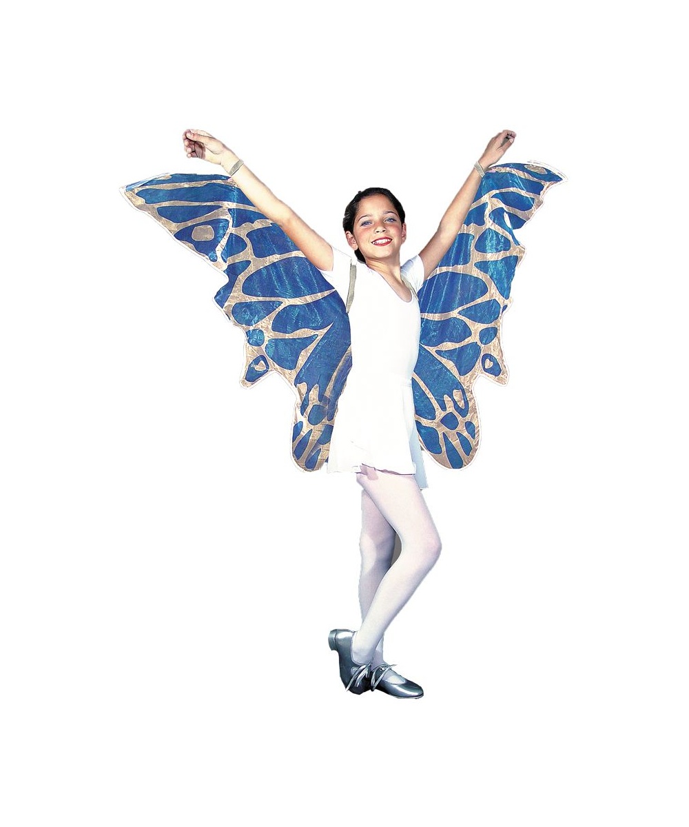  Wings Fairy Child
