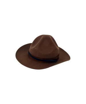  Campaign Hat